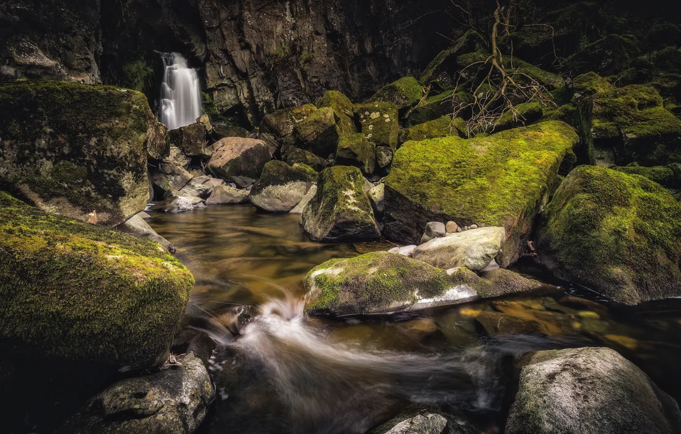 Photo wallpaper forest, stones, waterfall, moss, river
