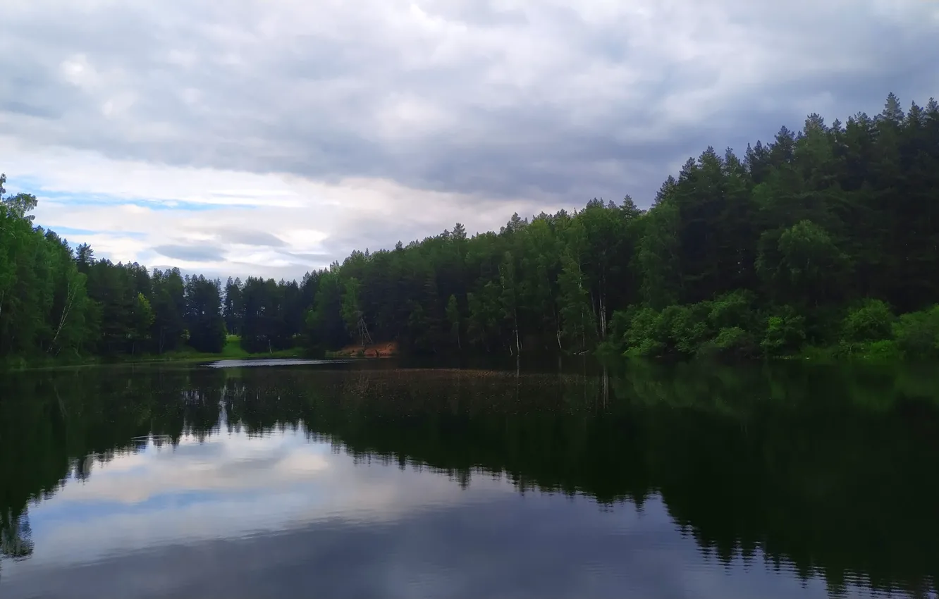 Photo wallpaper forest, grass, trees, lake