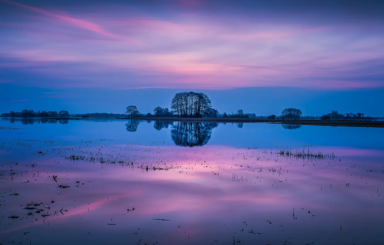 Photo wallpaper the sky, trees, sunset, reflection, river