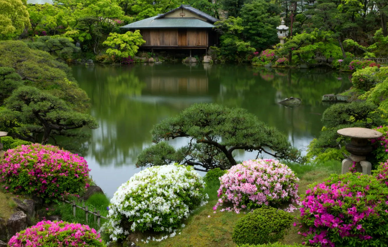Photo wallpaper pond, Japan, garden, house, the bushes, Azalea, Kobe, rhododendrons