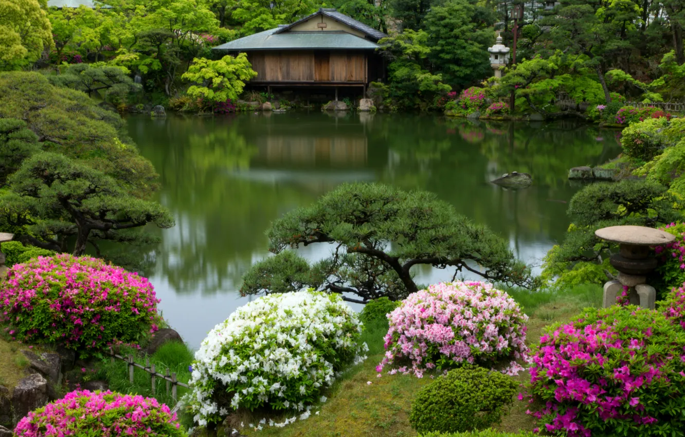 Photo wallpaper pond, Japan, garden, house, the bushes, rhododendron, Kobe, azaleas