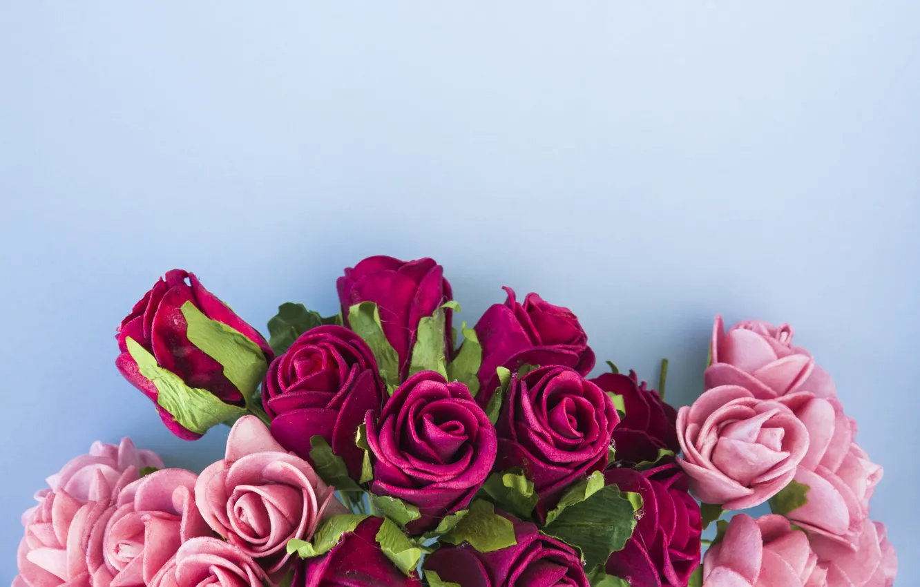 Photo wallpaper flowers, roses, pink, pink, flowers, beautiful, romantic, roses