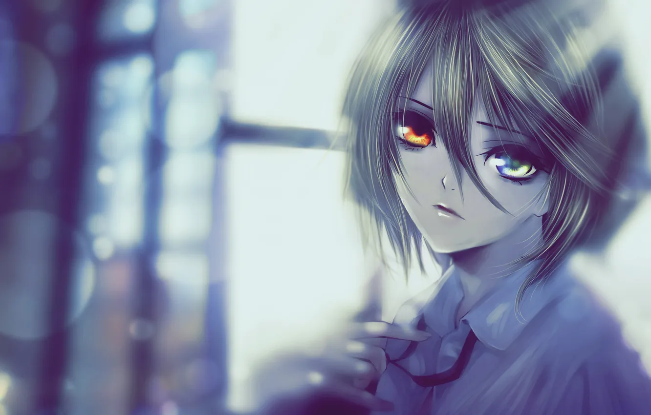 Photo wallpaper girl, glare, art, the sun's rays, different eyes, heterochromia, misaki mei, katkooota