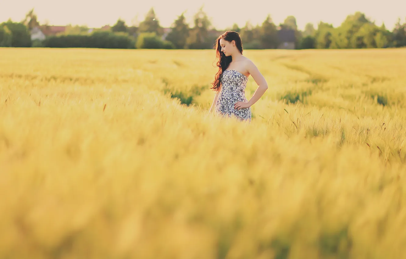 Photo wallpaper field, girl, spikelets, Desktop, 2560x1600, SunsetWalk