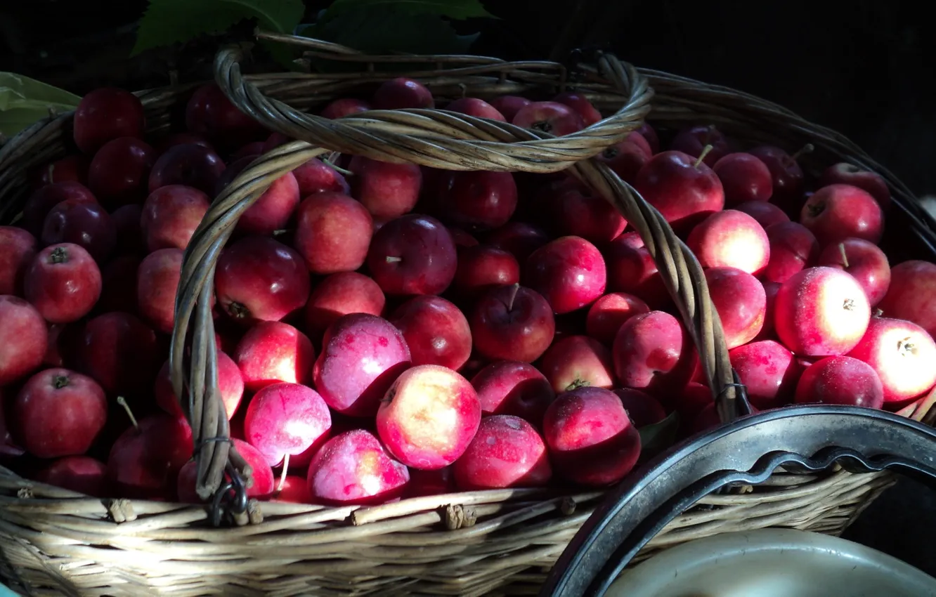 Photo wallpaper autumn, basket, apples, harvest