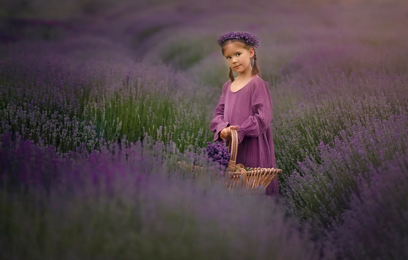 Photo wallpaper field, flowers, girl, basket, wreath, lavender, lavender field