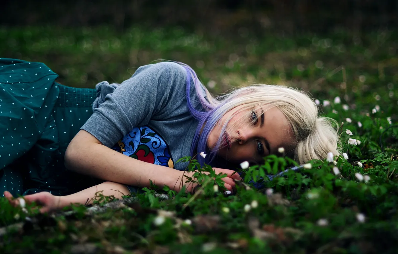 Photo wallpaper grass, dream, flowers, blonde, grass, flowers, blonde, dreams