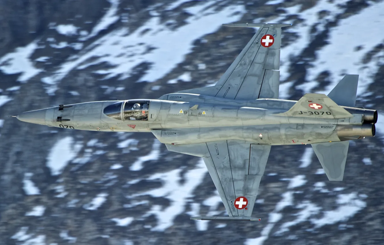 Photo wallpaper fighter, flight, multipurpose, Tiger II, F-5E, easy, Tiger II