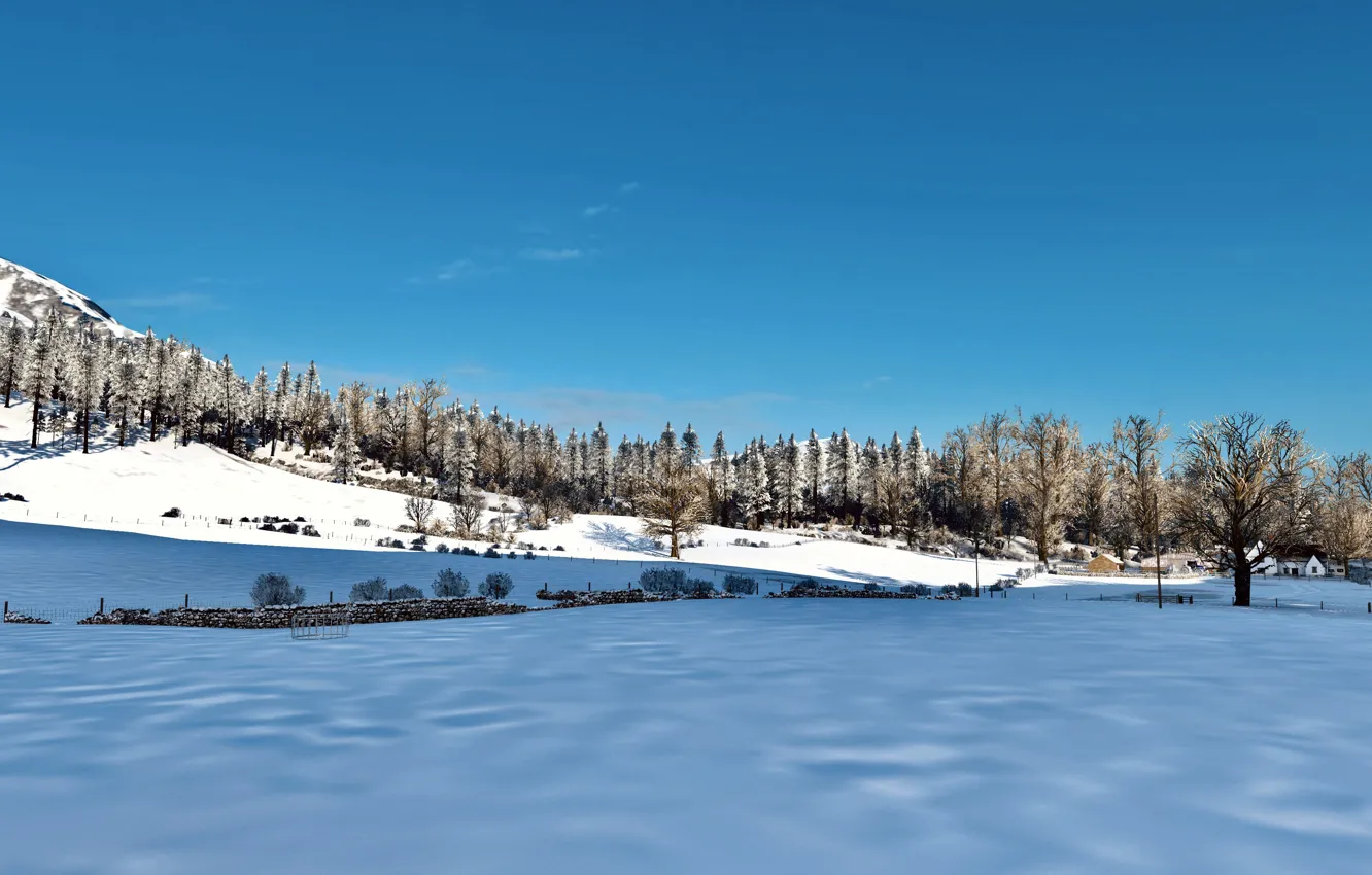 Photo wallpaper HDR, game, sky, trees, landscape, wood, winter, snow