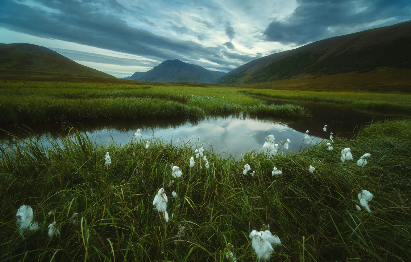 Photo wallpaper grass, landscape, mountains, clouds, nature, lake, tundra, Bank