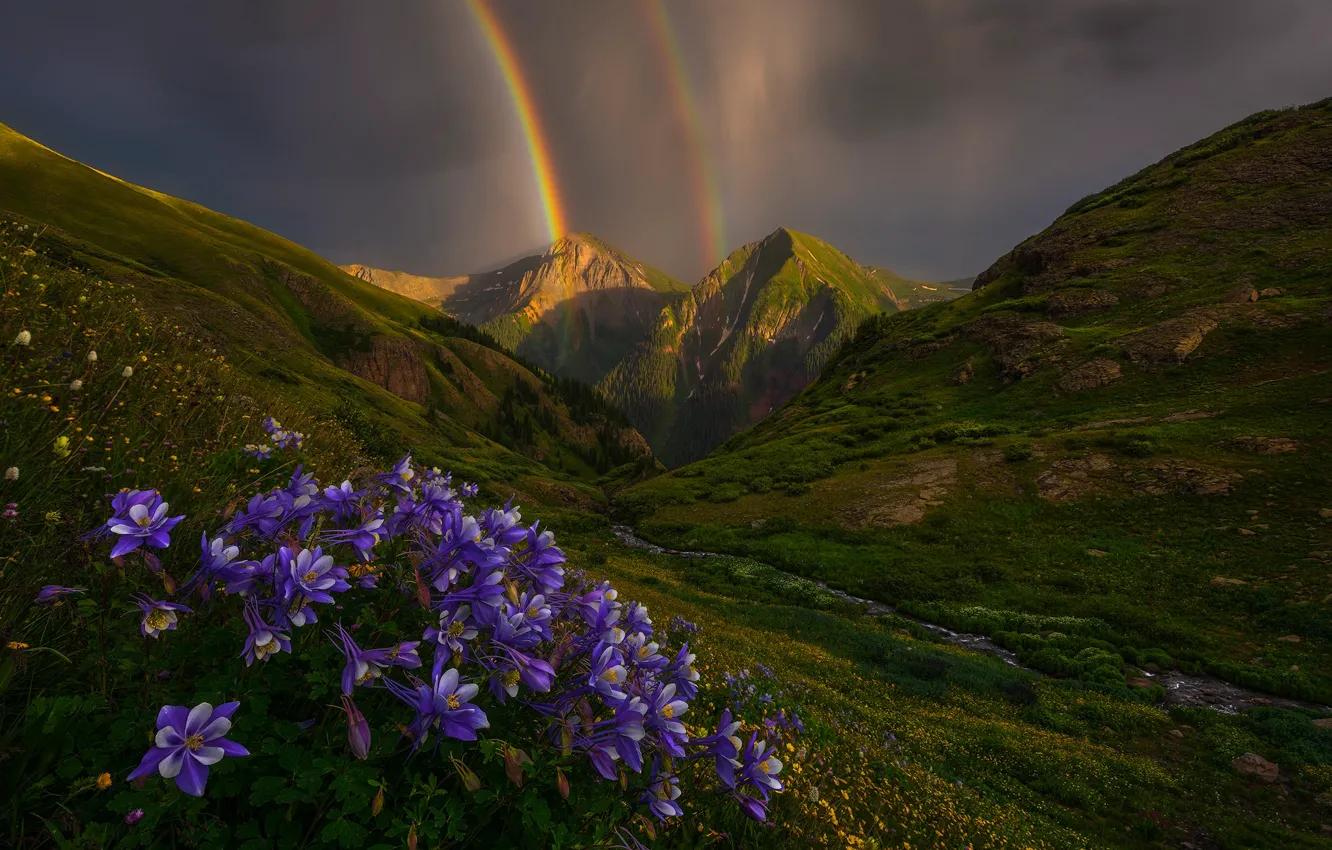 Photo wallpaper flowers, mountains, rainbow, Colorado, Colorado, San Juan Mountains, Aquilegia, mountains San Juan