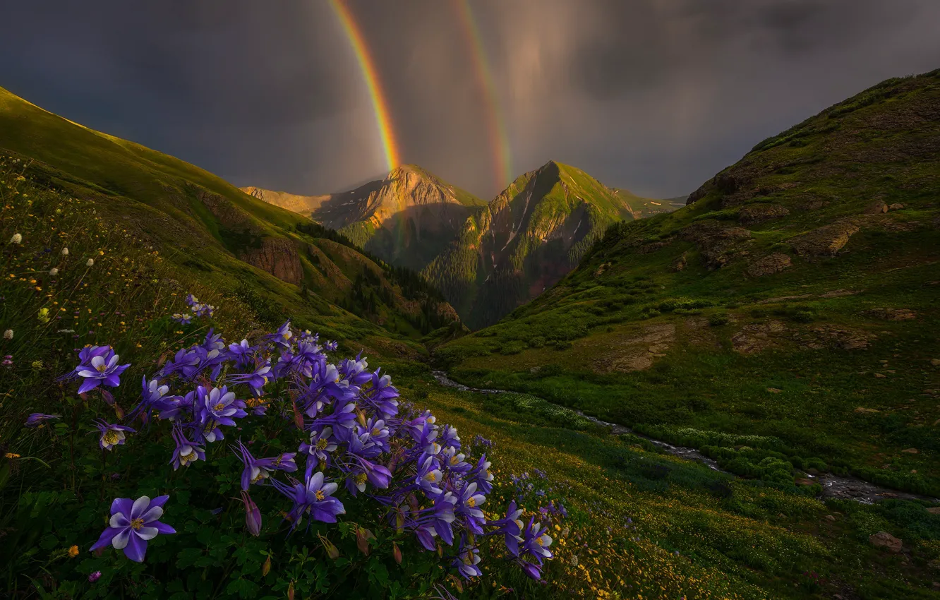 Photo wallpaper flowers, mountains, rainbow, Colorado, Colorado, San Juan Mountains, Aquilegia, San Juan Mountains