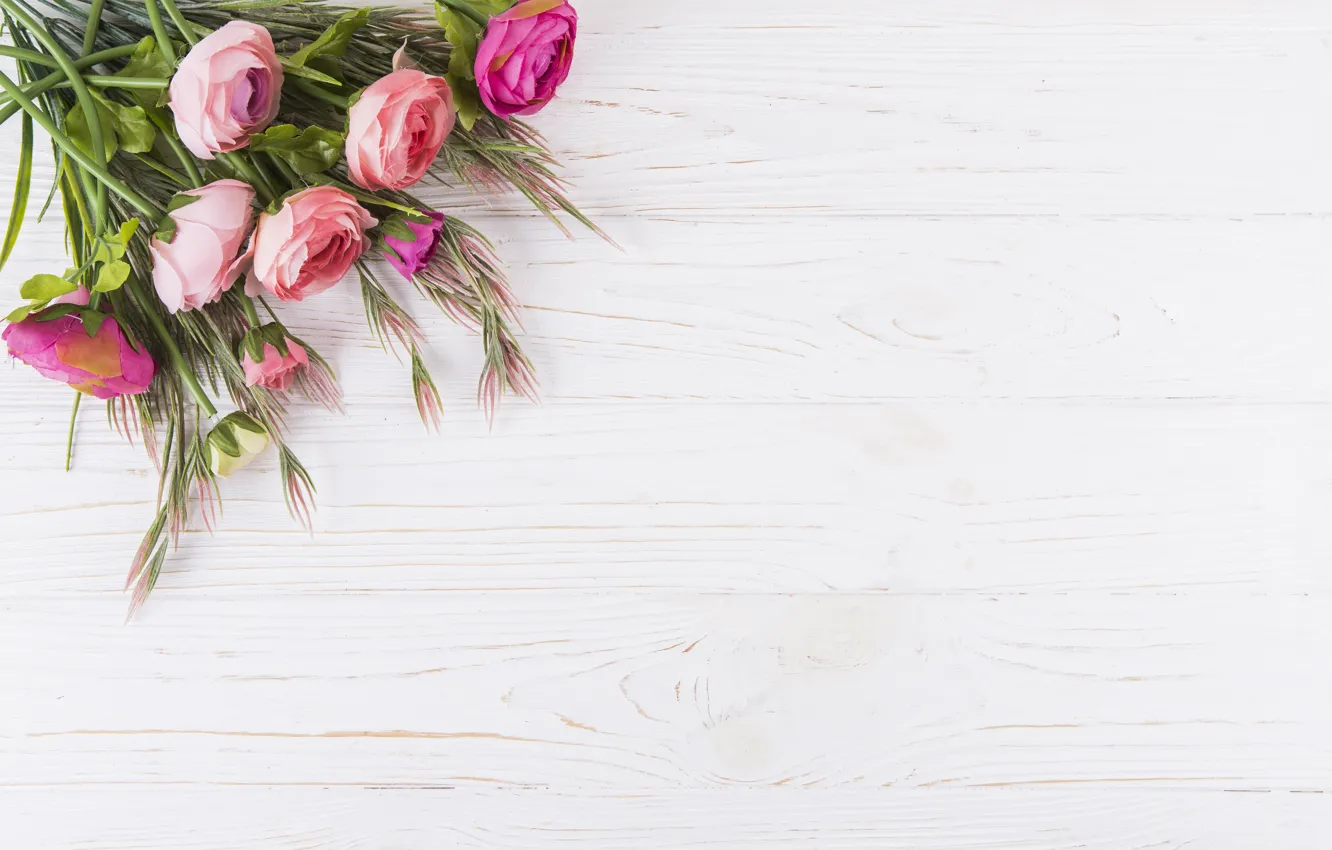 Photo wallpaper flowers, roses, pink, wood, pink, flowers, beautiful, roses