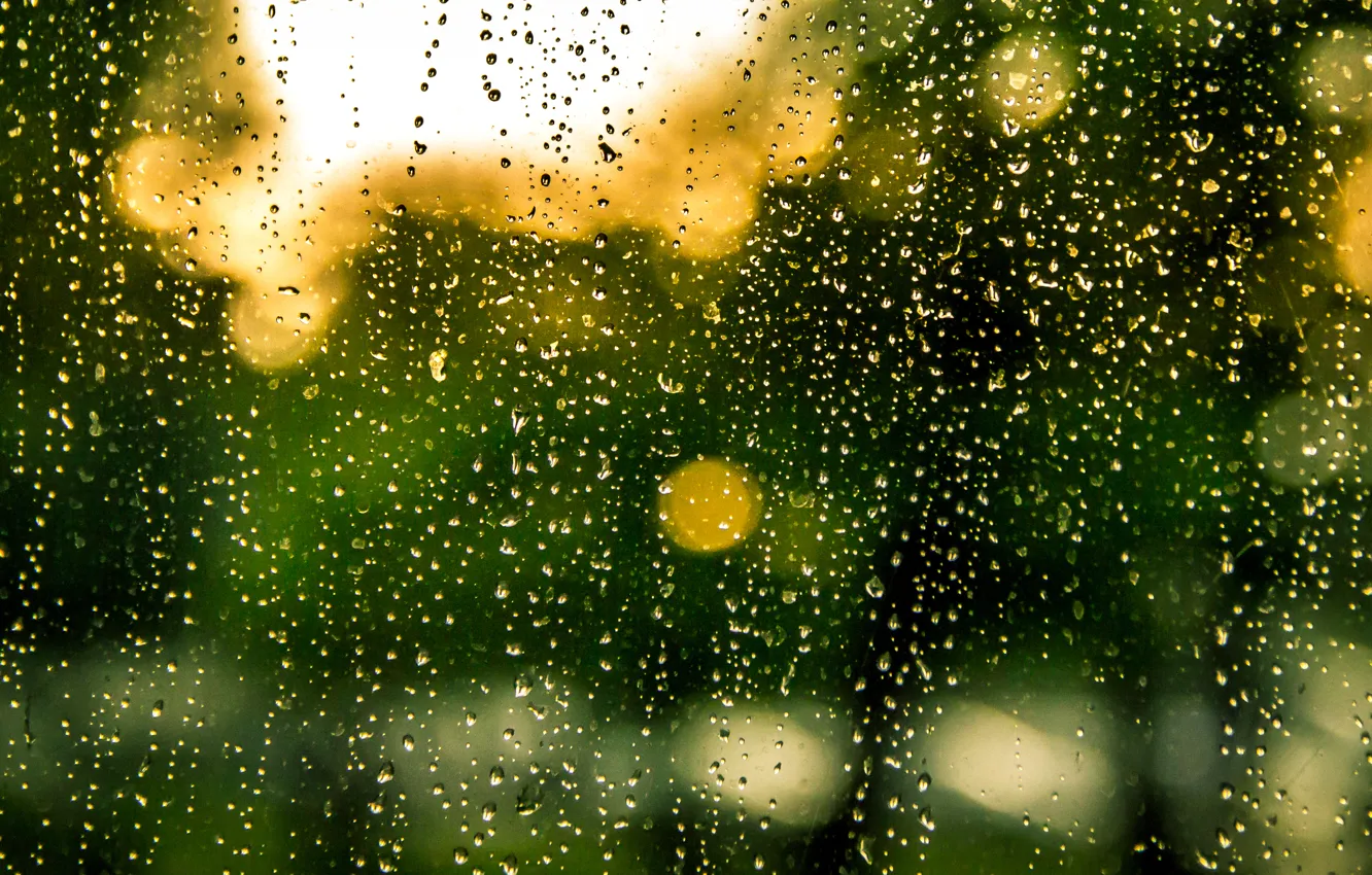 Photo wallpaper glass, rain, water, drops