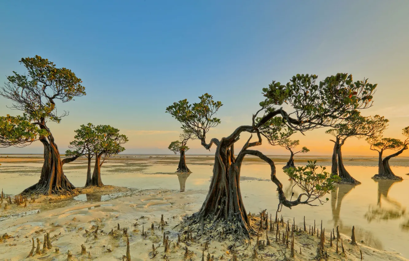 Photo wallpaper the sky, water, trees, nature, reflection, beauty, sky, trees