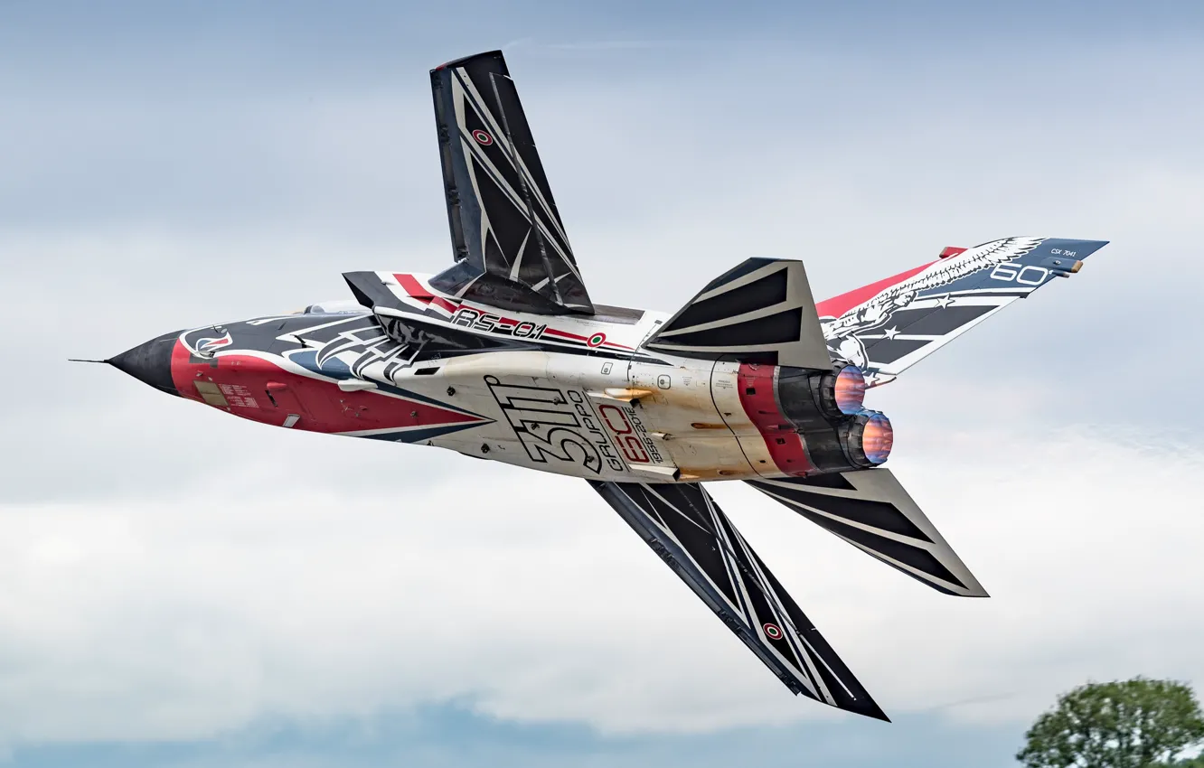 Photo wallpaper flight, Fighter, paint, Panavia Tornado