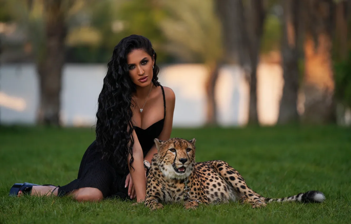 Photo wallpaper grass, girl, pose, brunette, Cheetah, wild cat, long hair, Ivan Gorokhov
