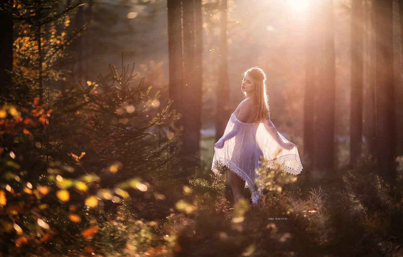 Photo wallpaper forest, look, girl, the sun, nature, pose, beauty, Miki Macovei Come With
