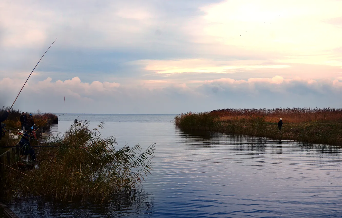 Photo wallpaper sea, Bay, Baltika