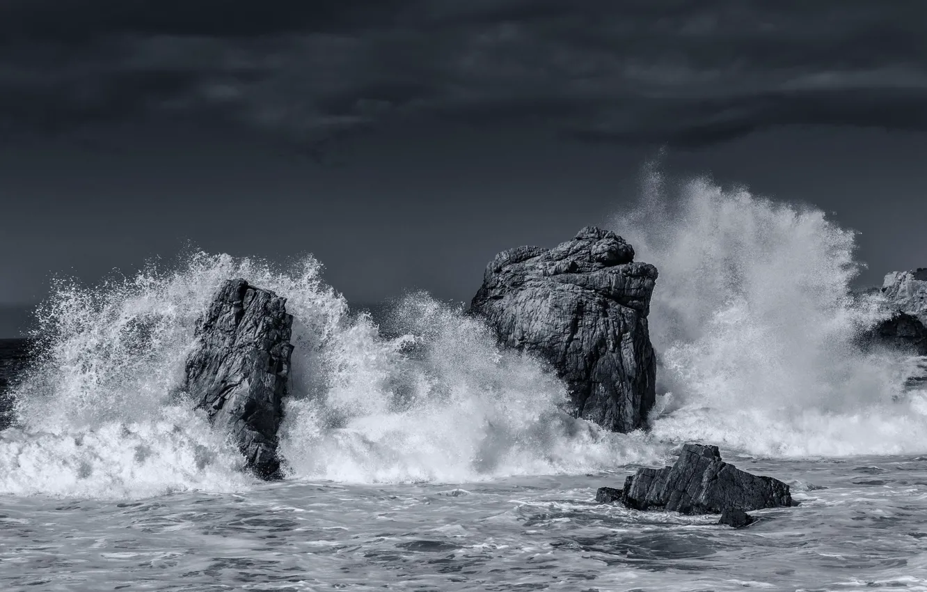 Photo wallpaper wave, storm, photo, the ocean, black and white
