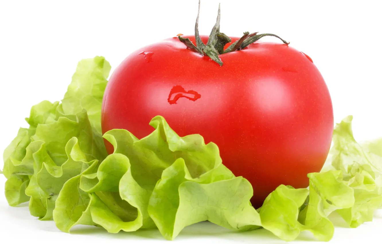 Photo wallpaper greens, macro, freshness, tomatoes, water drops, salad, ripe fruit