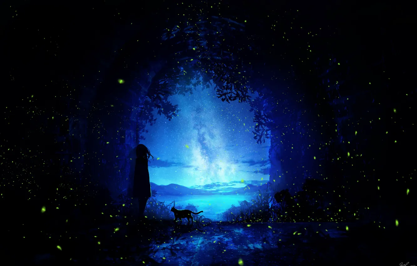 Photo wallpaper cat, water, girl, night, fireflies, the tunnel, the milky way