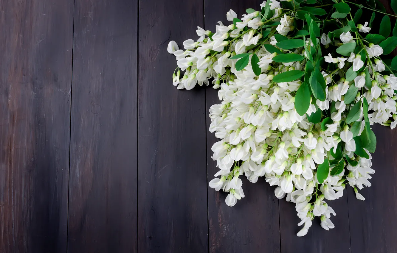 Photo wallpaper flowers, bouquet, spring, white, acacia