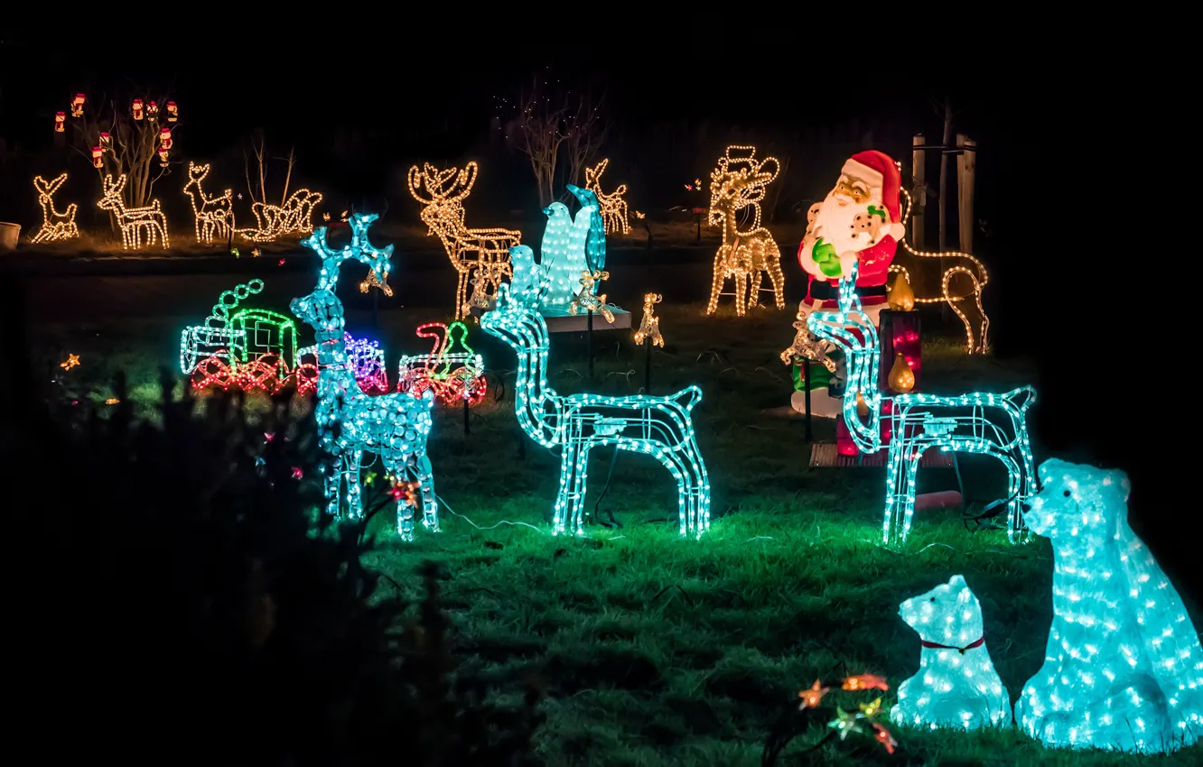 Photo wallpaper winter, night, lights, holiday, glade, new year, deer, Christmas