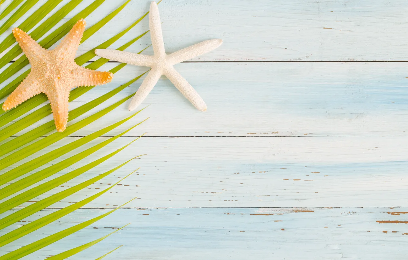 Photo wallpaper beach, summer, stars, Board, summer, beach, wood, starfish