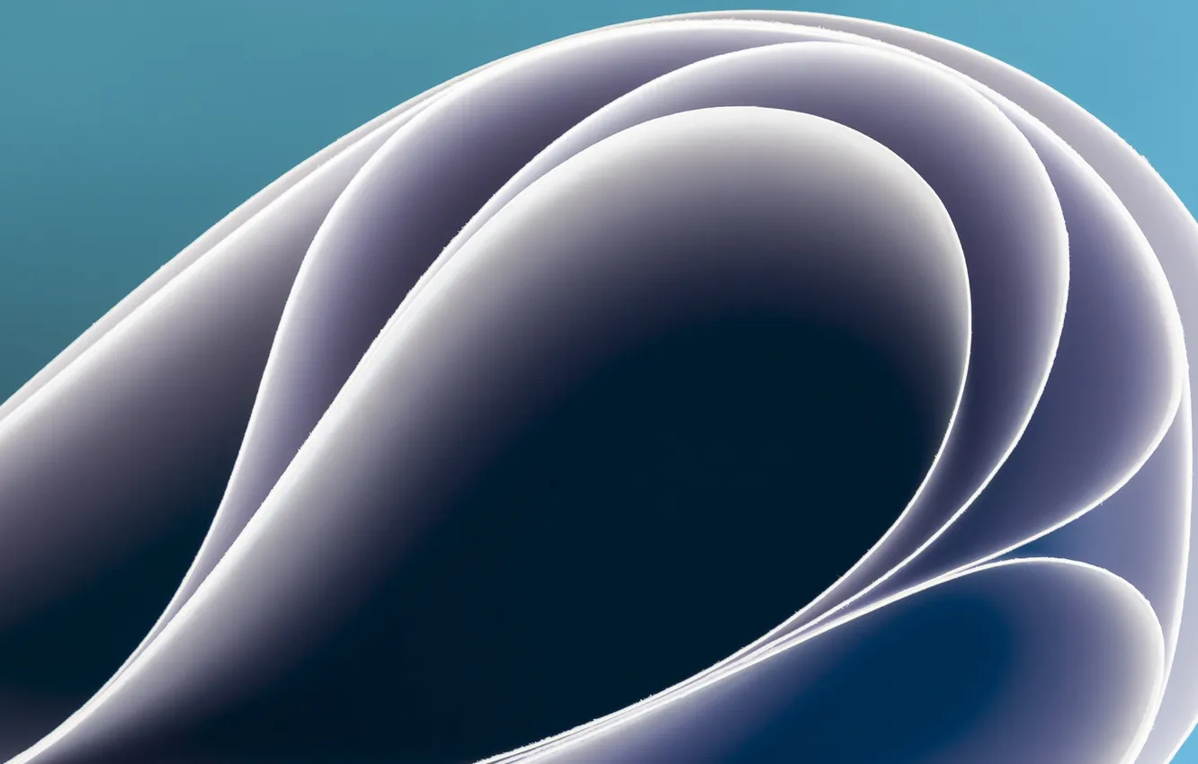 Photo wallpaper macro, sheet, paper, color, bending