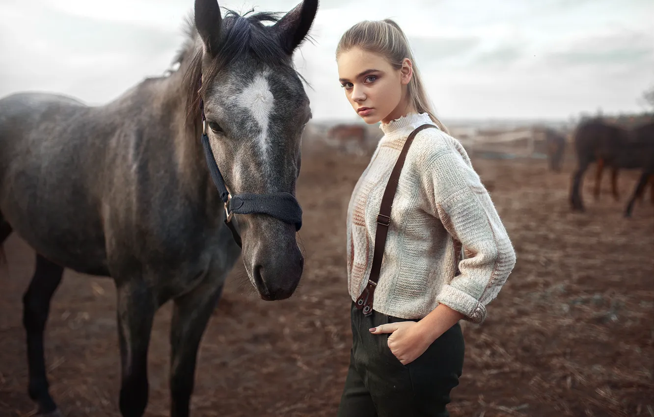 Photo wallpaper look, horse, Girl, Max Kuzin