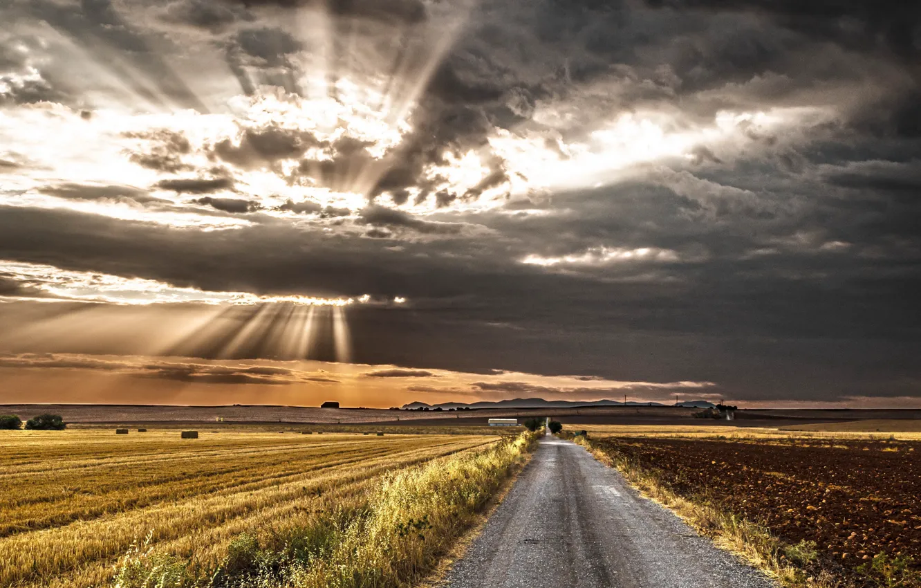 Photo wallpaper road, field, nature