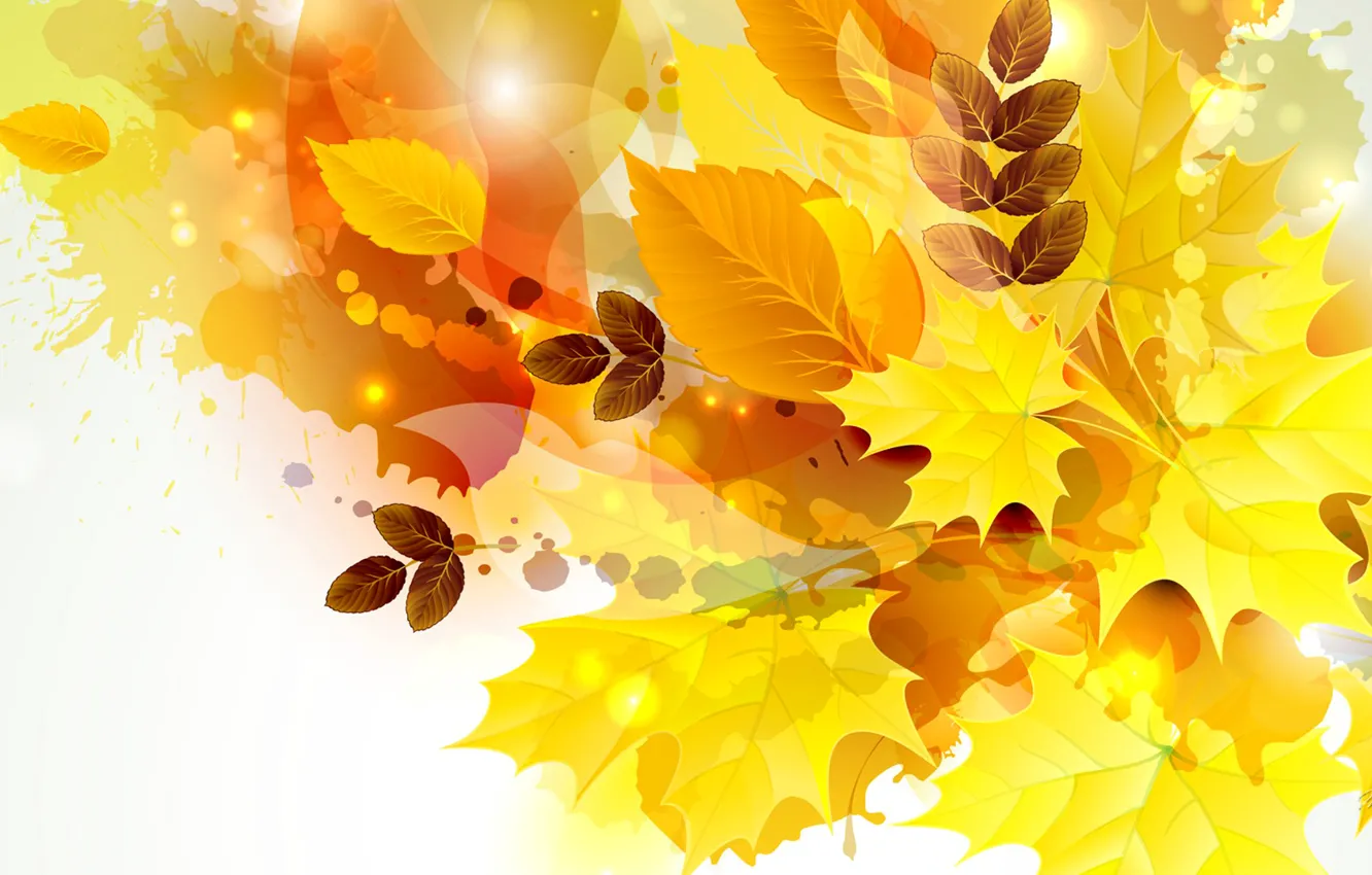 Photo wallpaper autumn, leaves, nature, collage