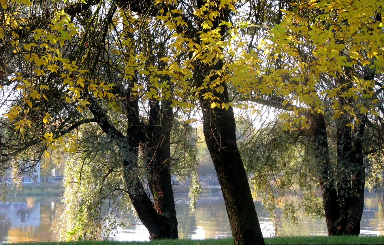 Photo wallpaper autumn, trees, lake, trees, water, autumn, September, fall