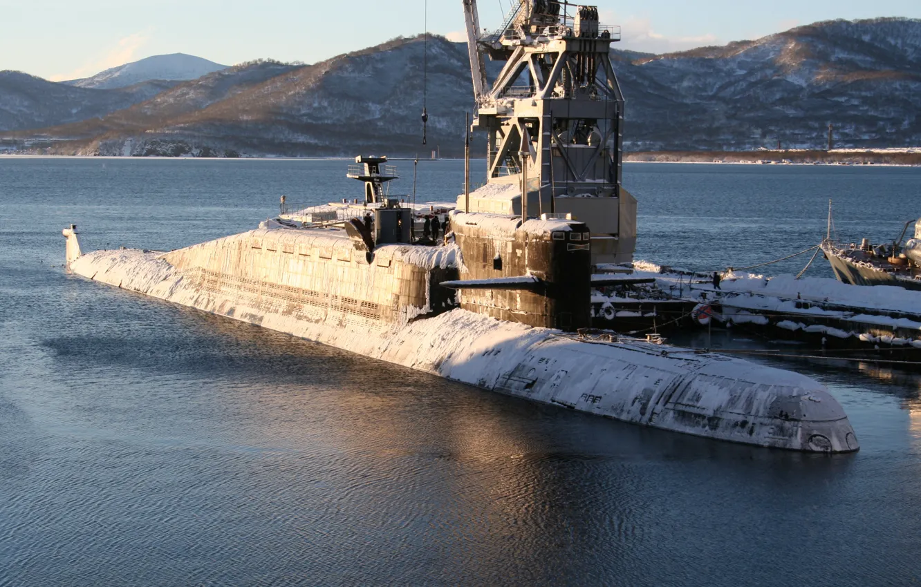 Photo wallpaper Submarine, Dolphin, project, 667BDRM