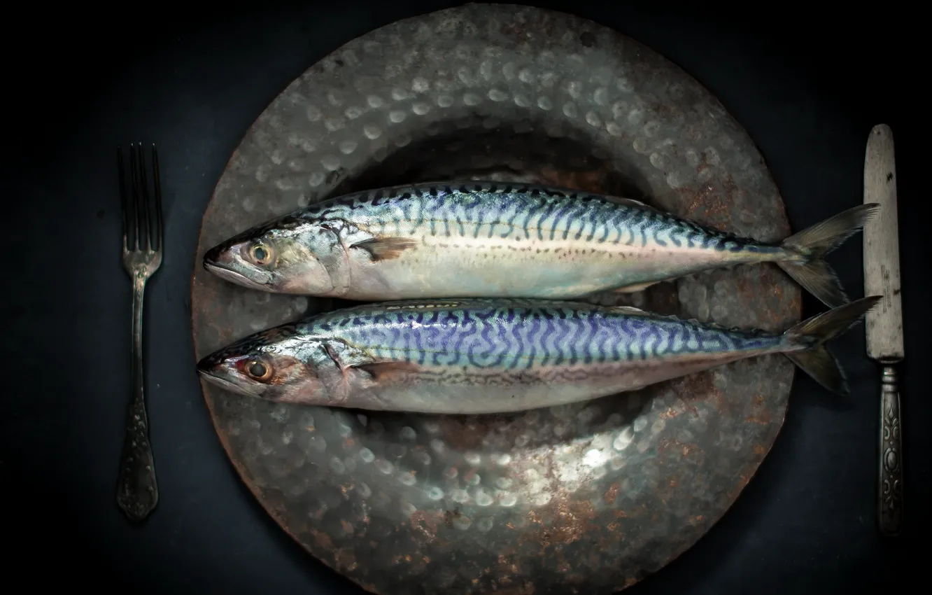 Photo wallpaper fish, knife, plug