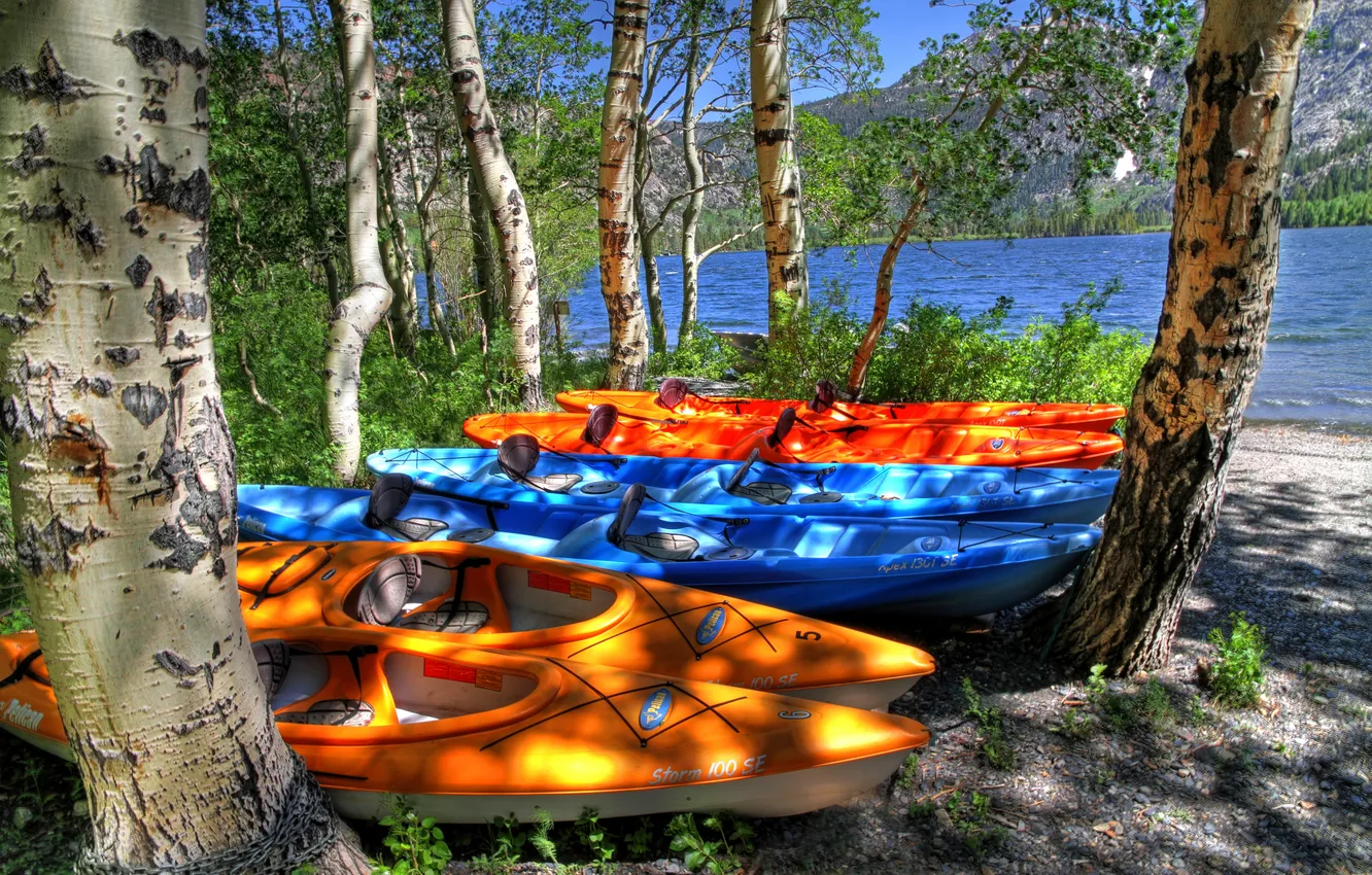 Photo wallpaper trees, mountains, lake, boat