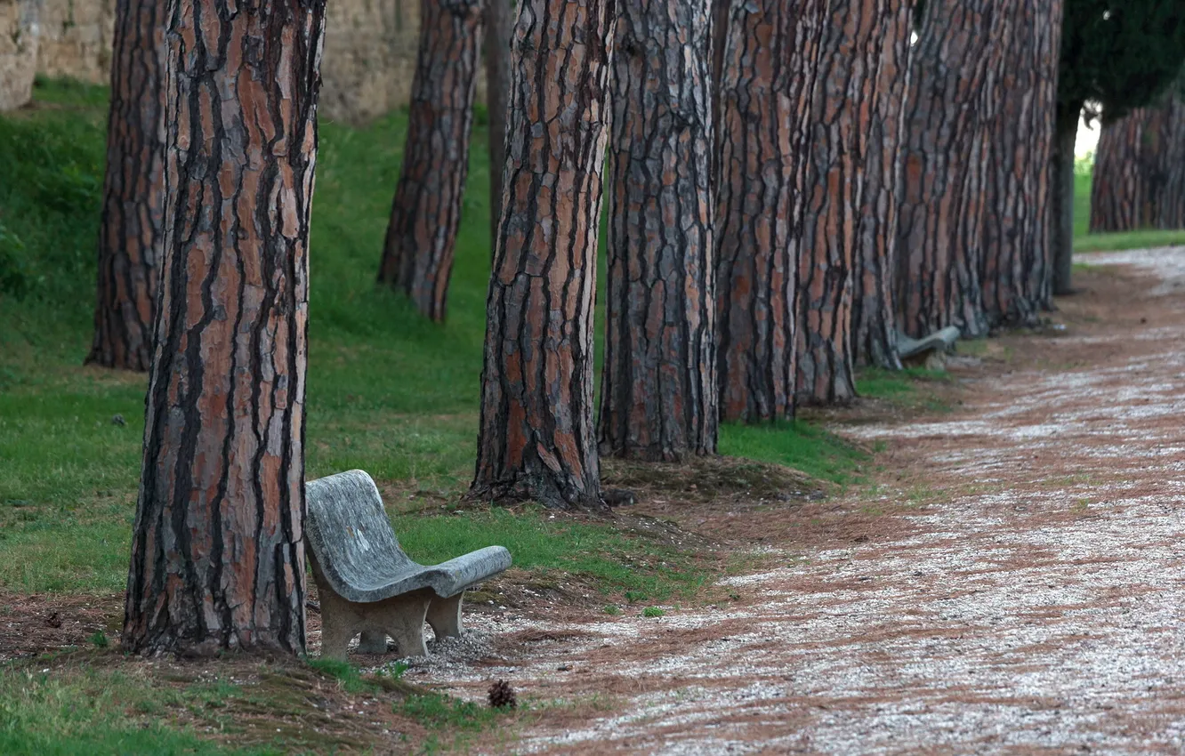 Photo wallpaper road, the city, Park, bench
