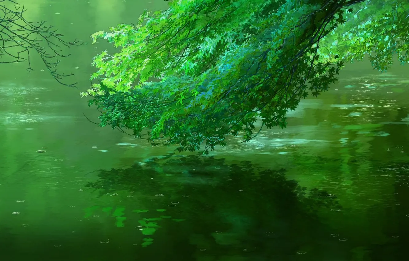 Photo wallpaper water, branches, green, pond, rain, Makoto Xingkai, Garden of fine words