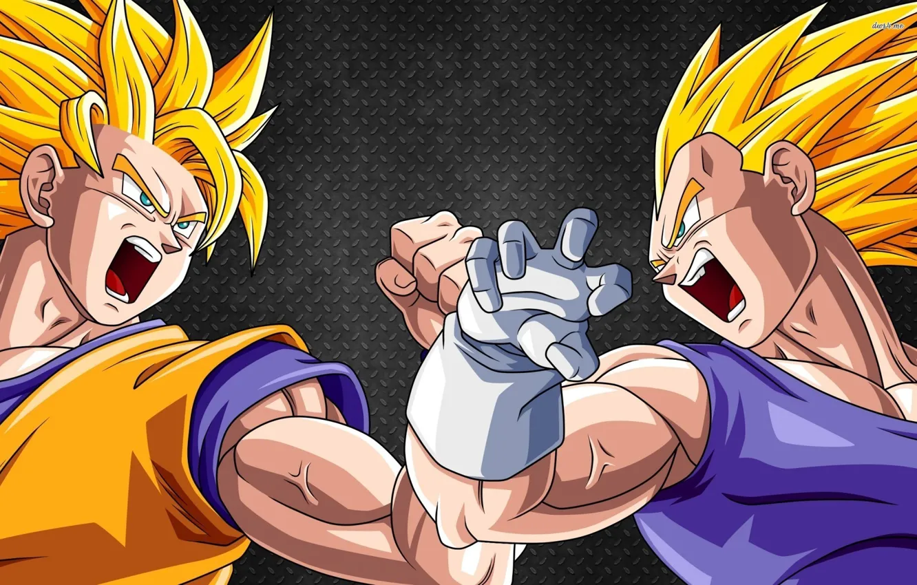 Photo wallpaper anime, dragon, ball, Son Goku, Vegeta