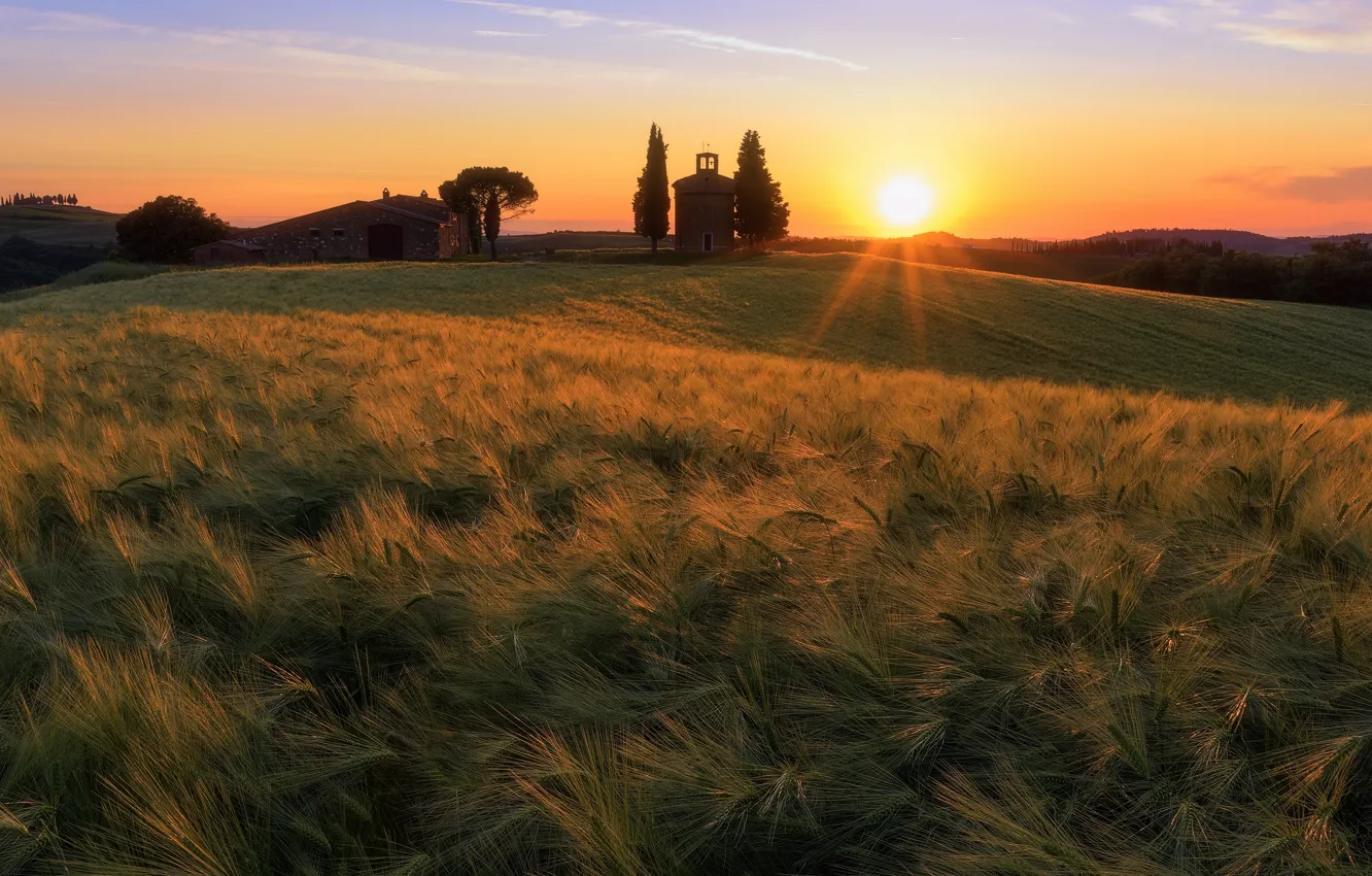 Photo wallpaper field, the sun, light, sunset, hills, rye, tower, slope