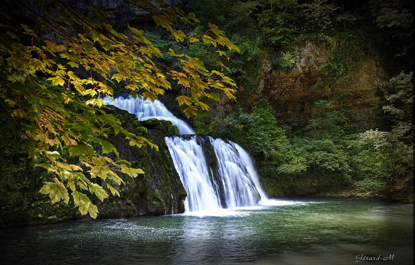 Photo wallpaper autumn, leaves, trees, branches, waterfall