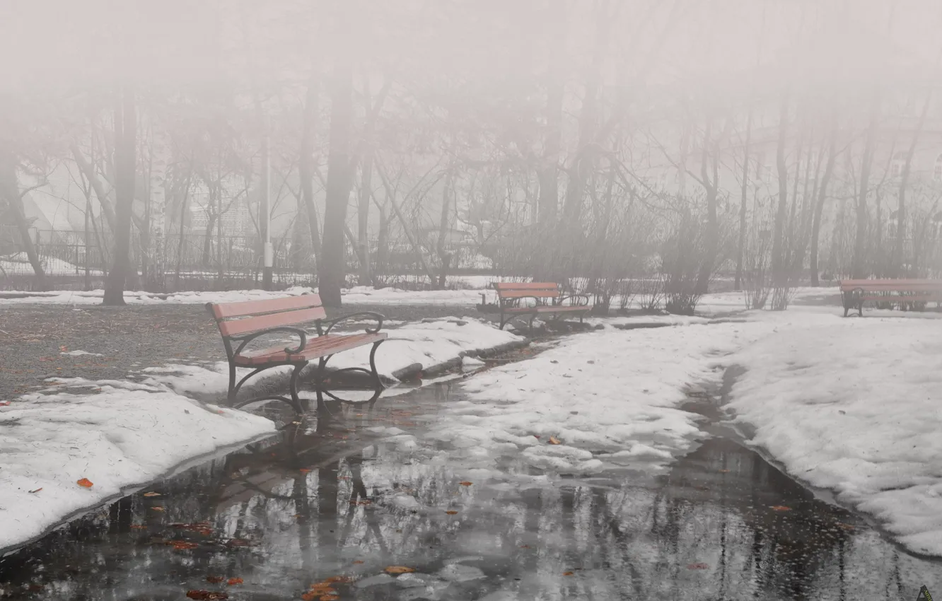 Photo wallpaper winter, fog, Park, benches