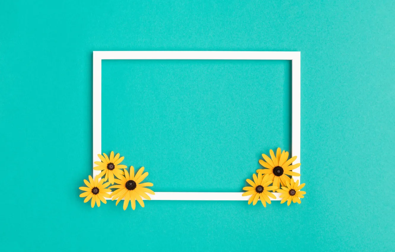 Photo wallpaper flowers, background, holiday, color, frame, yellow, white, turquoise