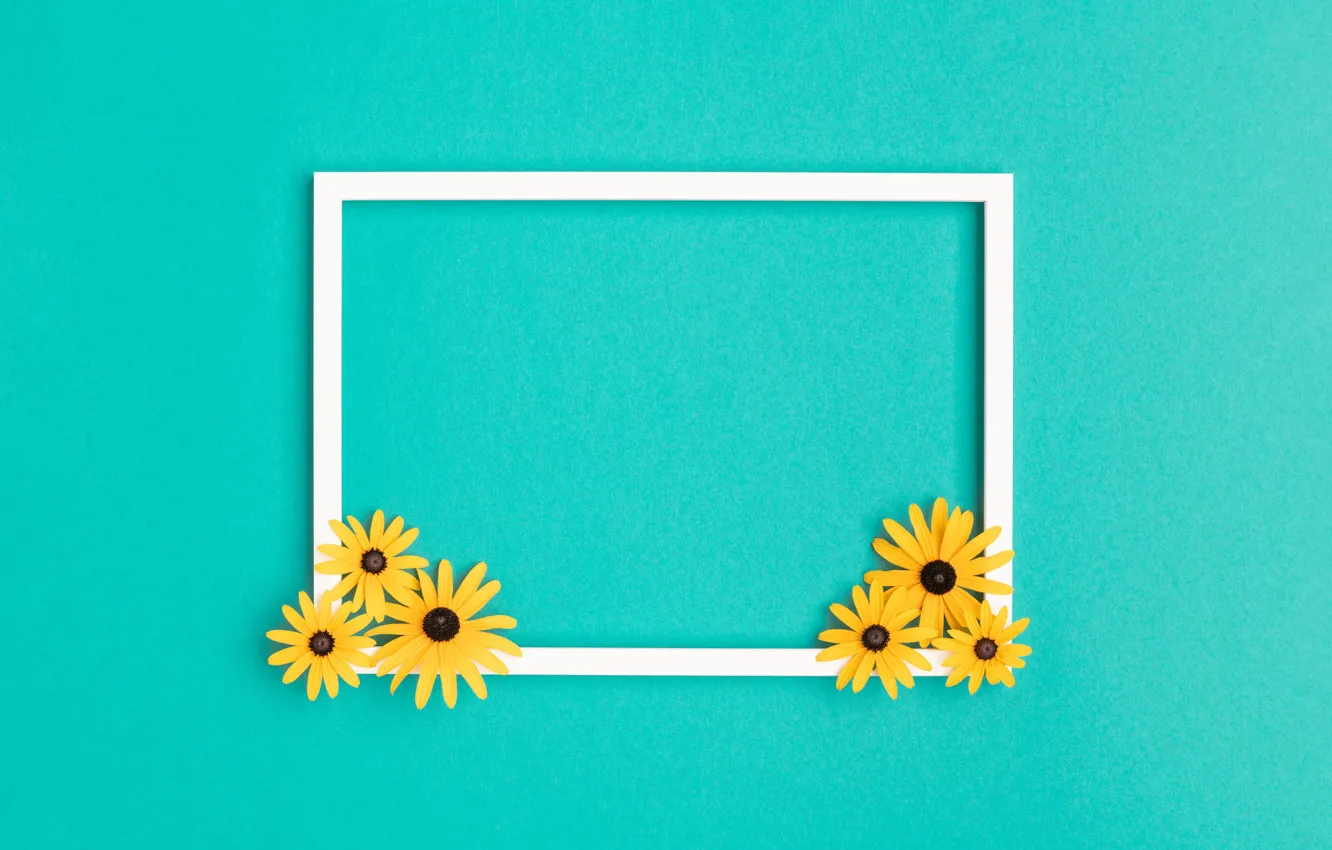 Photo wallpaper white, flowers, yellow, background, holiday, color, frame, turquoise