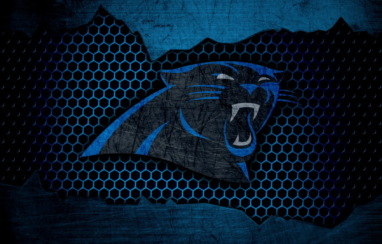 Wallpaper wallpaper, sport, logo, NFL, american football, Carolina ...