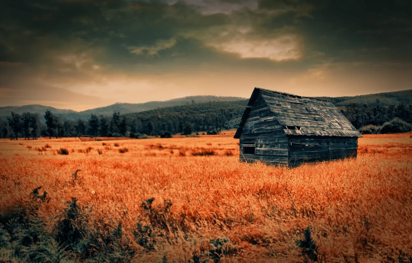 Photo wallpaper sunset, nature, house