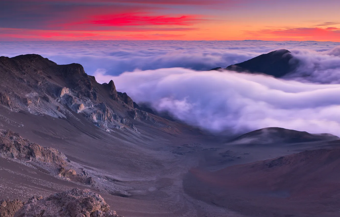 Photo wallpaper mountains, fog, Hawaii, Maui, View from Haleakalā