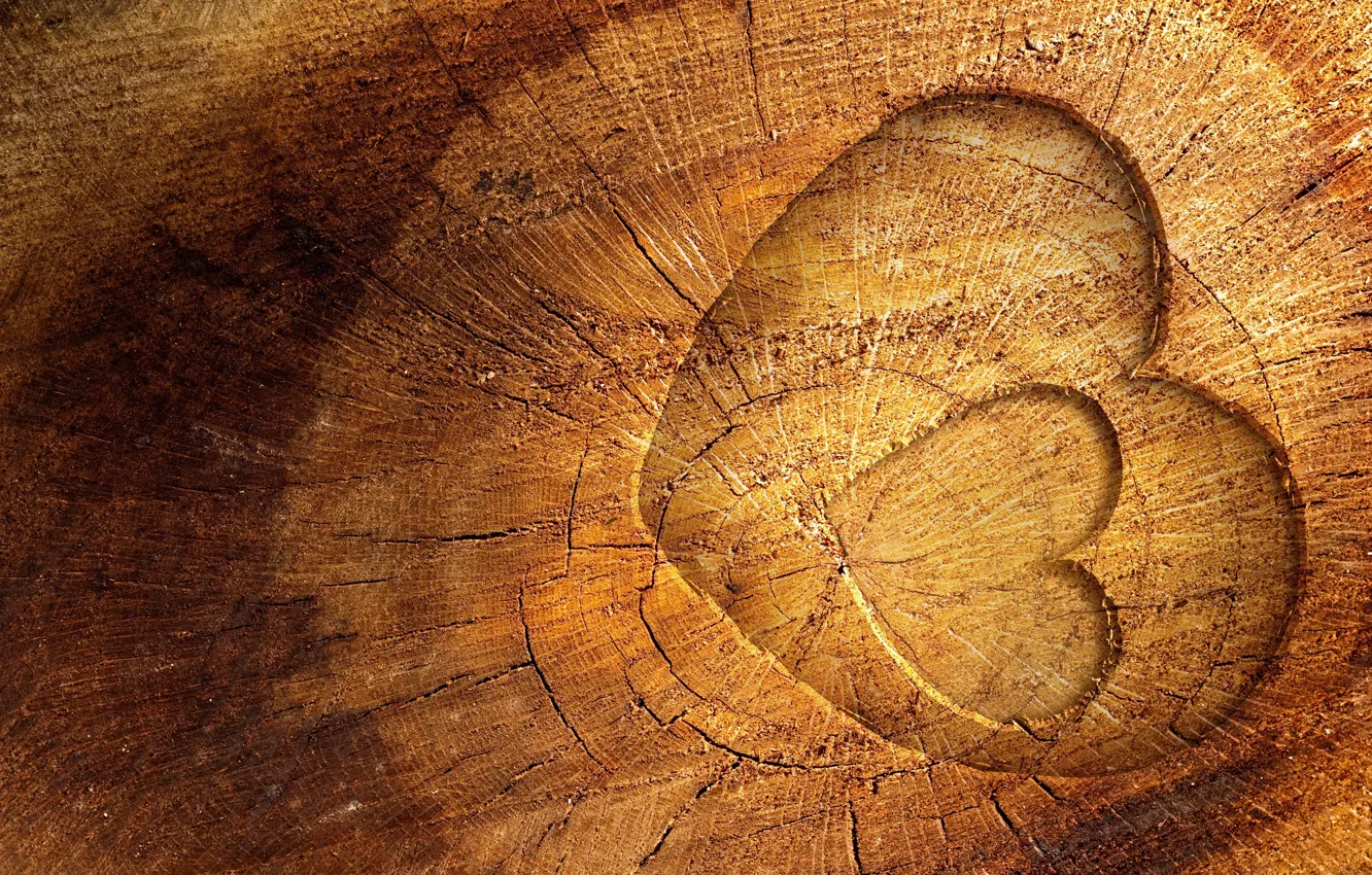 Photo wallpaper tree, heart, wood