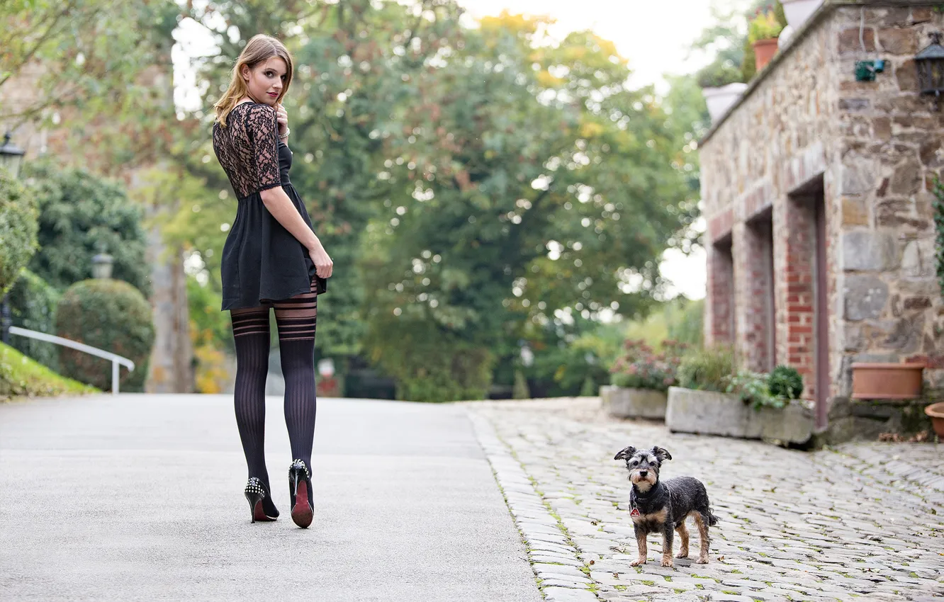 Photo wallpaper girl, the city, street, legs, dog, Guenter Stoehr